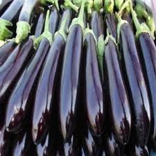 Organic Bhata (Brinjal / Baingan)